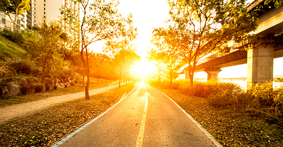 Image Responsibility