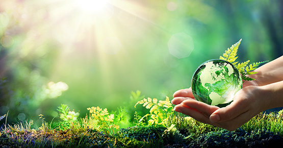 Image Responsibility